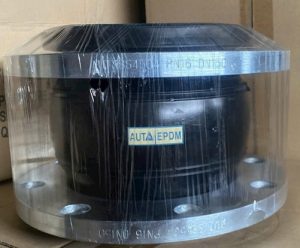 Khớp nối mềm cao su AUTA (DN50 đến DN600).