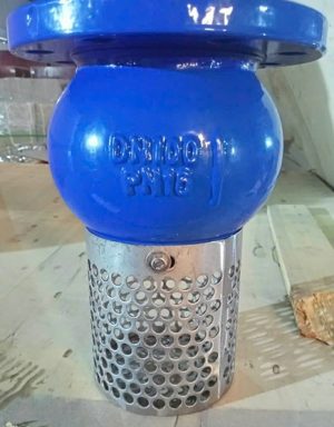 RỌ BƠM AUTA (DN50 đến DN400), giá rẻ