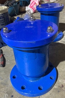 Van xả khí mặt bích AUTA (DN50 đến DN300)