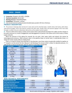 Catalog Van an toàn DN300