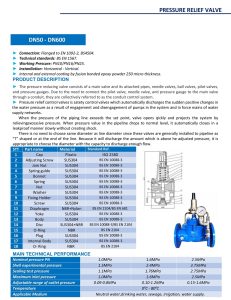 Catalog Van an toàn DN80