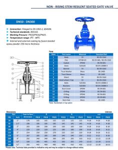 Catalog Van cổng ty chìm DN125