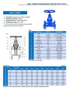 Catalog Van cổng ty chìm DN65