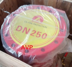 Van báo động-Alarm valve DN250 (ARV, AUT, AUTA, SHINYI)