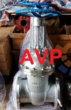 Van cổng inox DN250 (304-316)