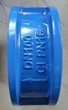 Van một chiều cánh bướm DN100