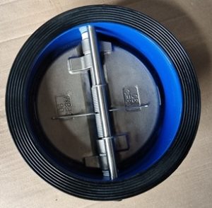 Van một chiều cánh bướm DN150