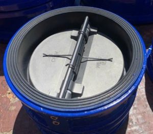 Van một chiều cánh bướm DN200