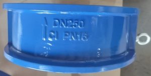 Van một chiều cánh bướm DN250