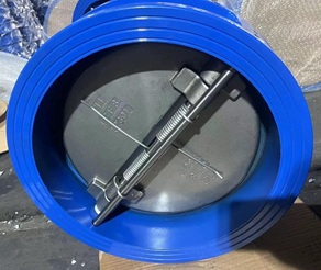 Van một chiều cánh bướm DN350