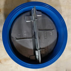 Van một chiều cánh bướm DN400