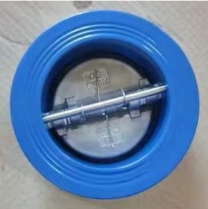 Van một chiều cánh bướm DN80