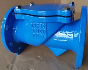 Van một chiều lá lật DN100