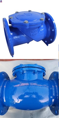 Van một chiều lá lât DN150 DN125