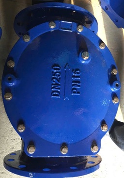 Van một chiều lá lật DN250