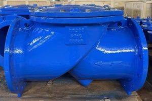 Van một chiều lá lật DN300 DN350
