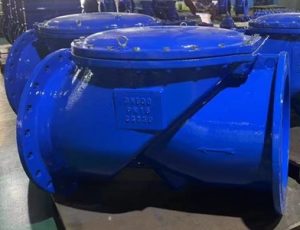 Van một chiều lá lật DN500