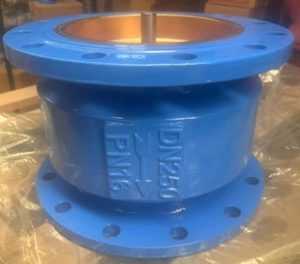 Van một chiều lò xo DN250 DN300