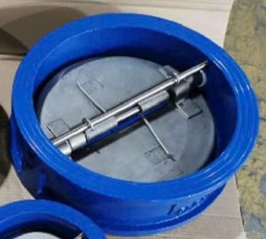 Van một chiều lò xo DN300