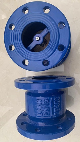 Van một chiều lò xo DN50 DN65 DN80