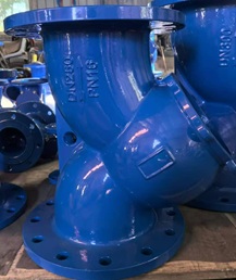 Y lọc DN250 (AUT, AUTA, ARV, SHINYI)