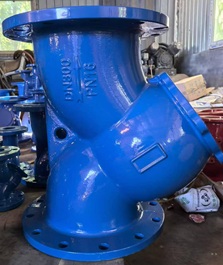 Y lọc DN300