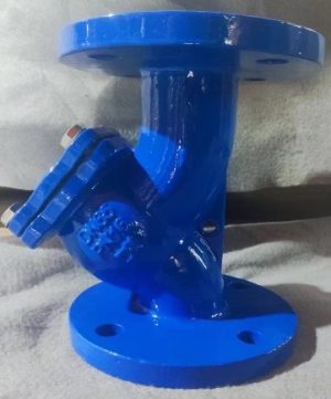 Y lọc DN65