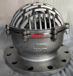 Rọ bơm inox DN250 (304-316), nhập khẩu BH 12 tháng.