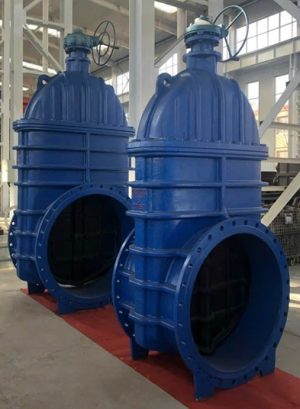 Van cổng DN1000