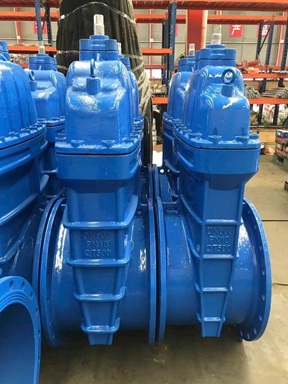 Van cổng DN600
