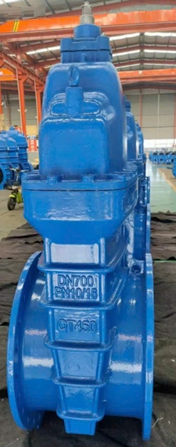 Van cổng DN700