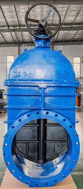 Van cổng DN800