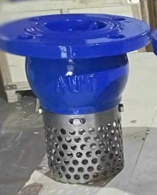 RỌ BƠM DN65