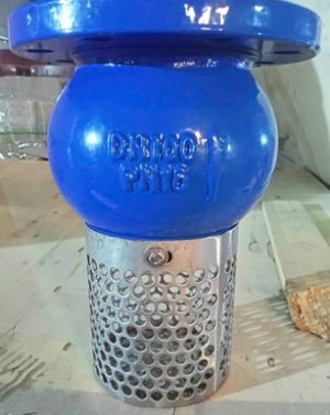 Rọ bơm DN100