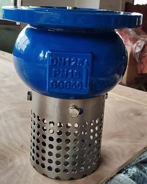 Rọ bơm DN125