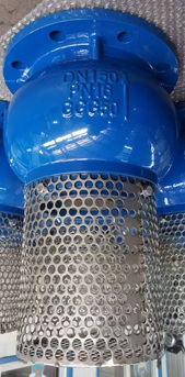 Rọ bơm DN150