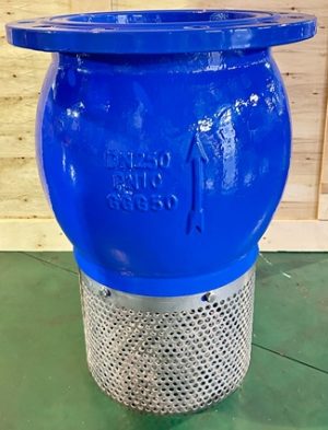 Rọ bơm DN250