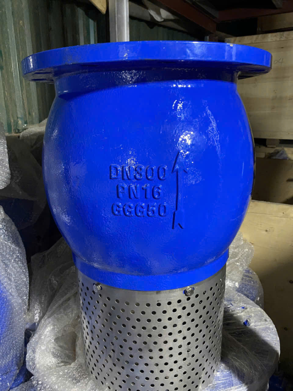 Rọ bơm DN300