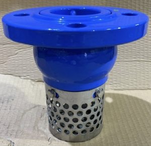 Rọ bơm DN50