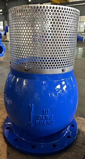 Rọ bơm DN500 DN600