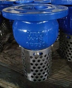 Rọ bơm DN80