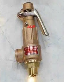 Van an toàn nối ren DN15