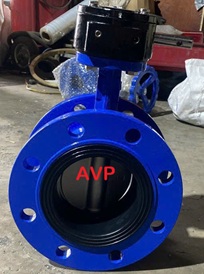 Van bướm mặt bích DN100, nhập khẩu BH 12 tháng.