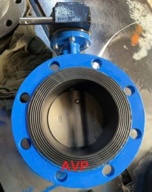 Van bướm mặt bích DN125