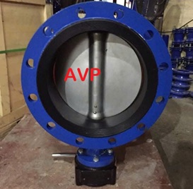 Van bướm mặt bích DN250
