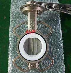Van bướm tay gạt inox DN65 (304, 316)