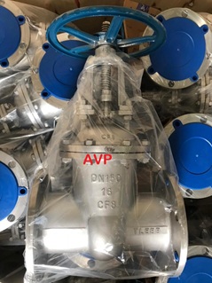 Van cổng inox DN150 (304-316)