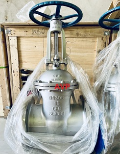 Van cổng inox DN300 (304-316)