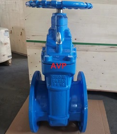 Van cổng ty chìm DN250