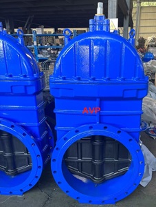 Van cổng ty chìm DN500